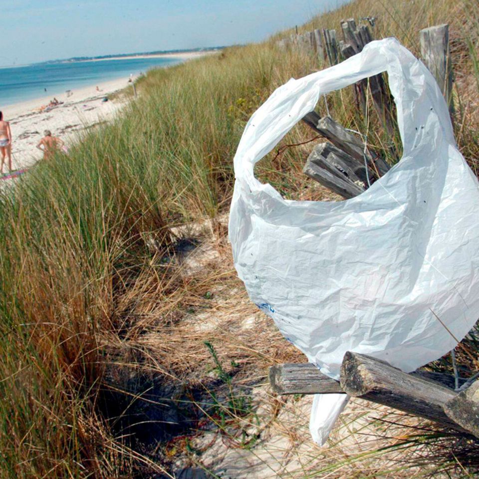 Meeresverschmutzung: Plastiktüte adé?