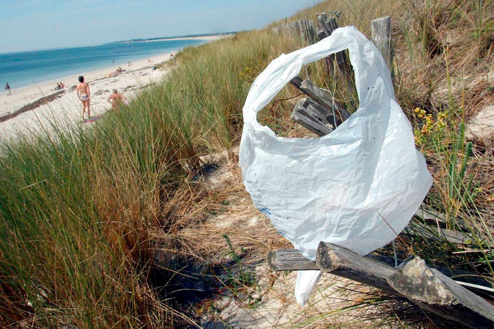 Meeresverschmutzung: Plastiktüte adé?