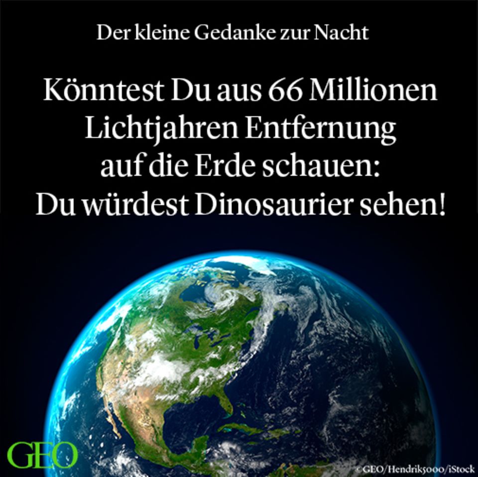 Zeitreise: Dinosaurier, Lichtjahre und Relativität: Der kleine Gedanke zur Nacht