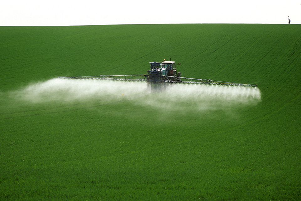 Glyphosat: Jedes Jahr landen rund 6000 Tonnen des Pflanzengifts auf deutschen Äckern - mit unbekannten Langzeitfolgen