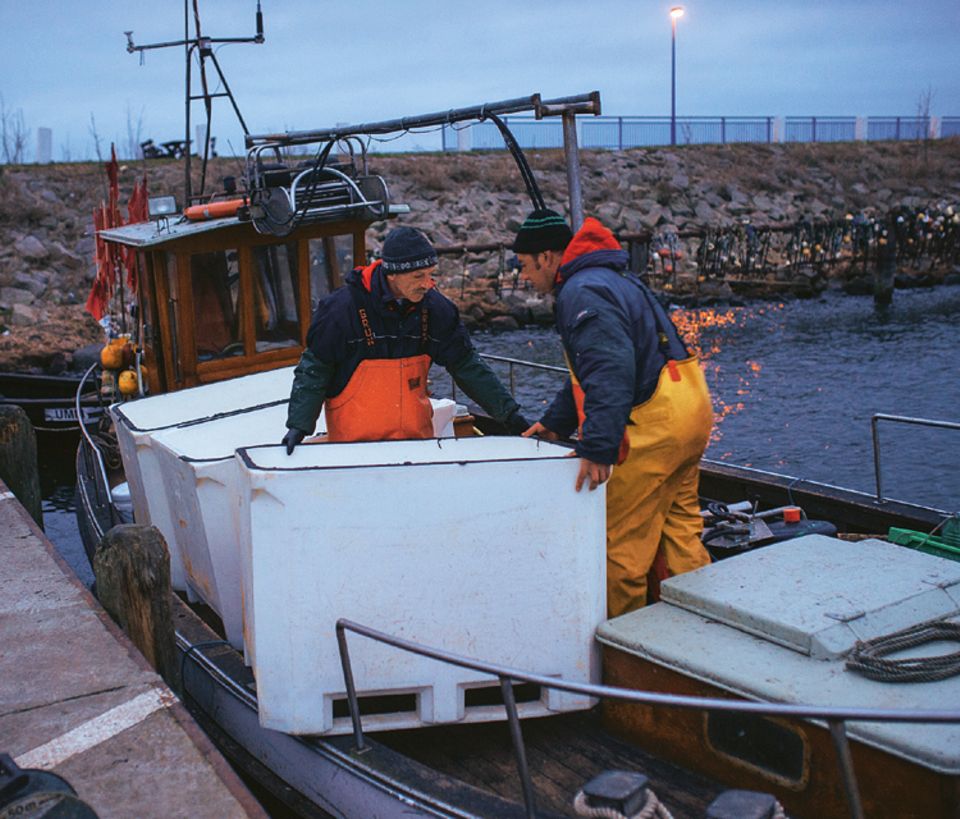 Fische: Leinen los! Die Fischer Jan Schultz und Ivo Nordt rücken vor der Abfahrt die weißen Tanks an Deck ihres Kutters zurecht. In ihnen transportiert das Team später die Heringe. Rund 200 Tiere passen in jeden Tank! Fische: Leinen los! Die Fischer Jan Schultz und Ivo Nordt rücken vor der Abfahrt die weißen Tanks an Deck ihres Kutters zurecht. In ihnen transportiert das Team später die Heringe. Rund 200 Tiere passen in jeden Tank!