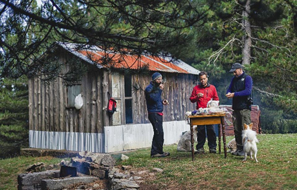 Süditalien: Ein streunender Maremmano-Schäferhund kommt rechtzeitig dazu und gesellt sich zum Picknick