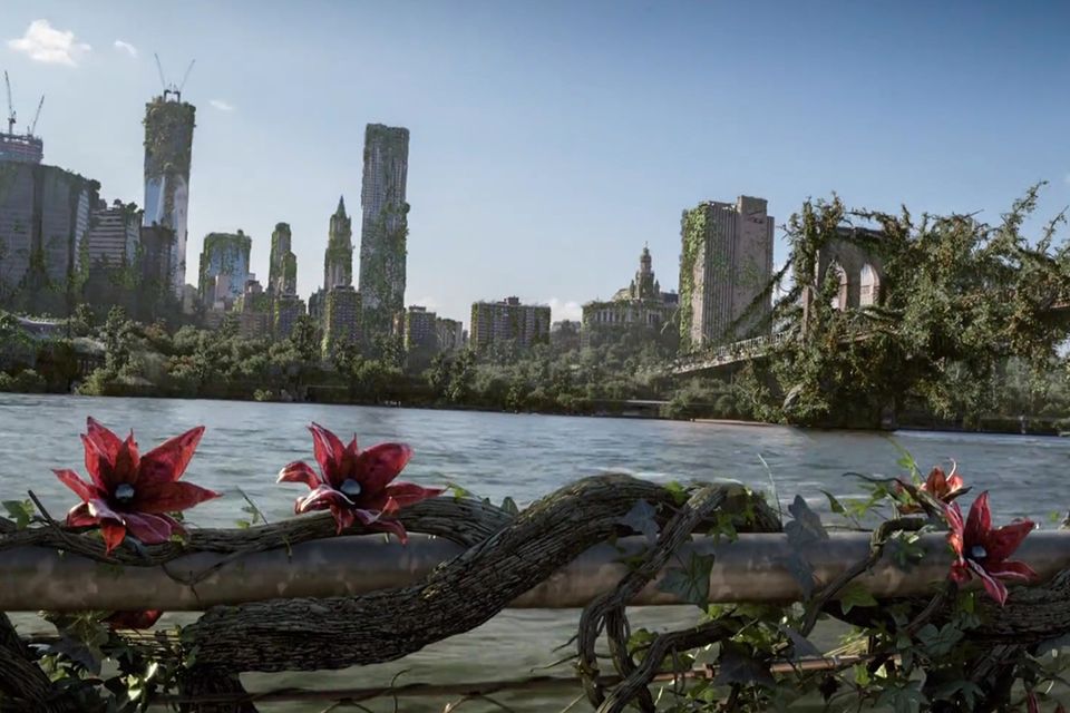 Kurzfilm Wrapped: Wenn sich die Natur die Welt zurückerobert