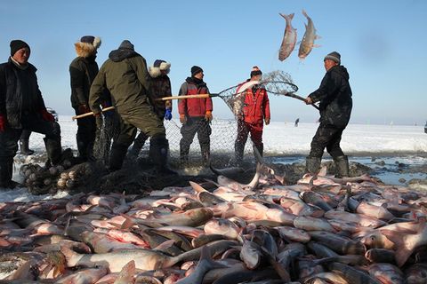 Die Eisfischer vom Chagan-See