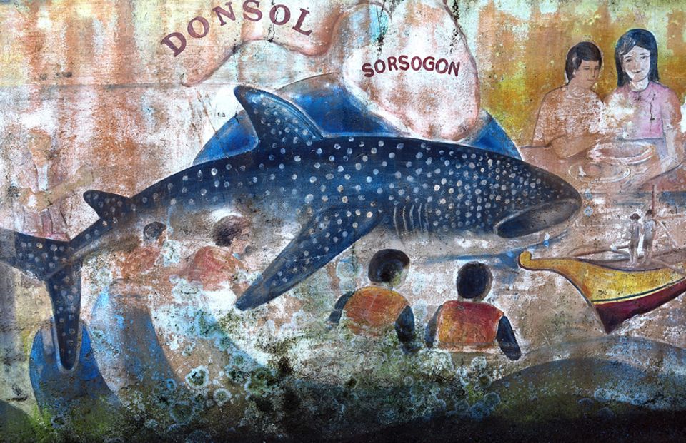 Philippinen: Nicht überall auf den Philippinn bemüht man sich, wie in Donsol den Walhaien respektvoll zu begegnen