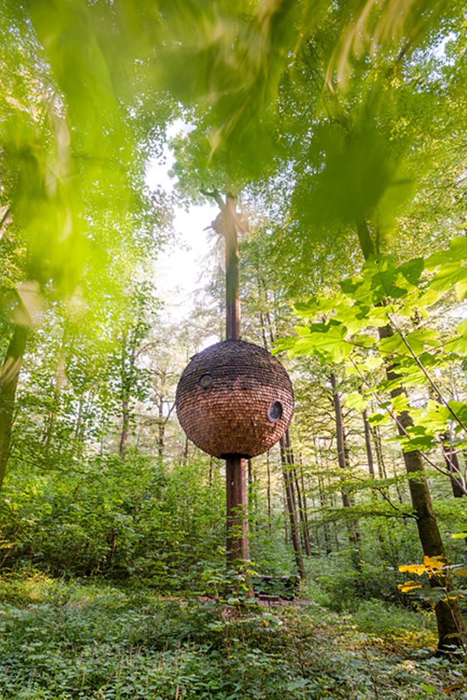 Deutschland neu entdecken: Das Baumhaus auf dem Nieheimer Kunstpfad ist eins der Bauwerke des internationalen Kunstprojekts. Alle Objekte sind ortsbezogen und sollen die Natur so wenig wie möglich verändern Deutschland neu entdecken: Das Baumhaus auf dem Nieheimer Kunstpfad ist eins der Bauwerke des internationalen Kunstprojekts. Alle Objekte sind ortsbezogen und sollen die Natur so wenig wie möglich verändern