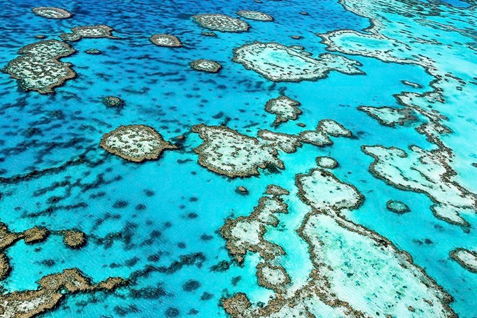 Australien: Das Great Barrier Reef ist zunehmend bedroht - durch den Klimawandel, Wasserverschmutzung und die Seesternplage Australien: Das Great Barrier Reef ist zunehmend bedroht - durch den Klimawandel, Wasserverschmutzung und die Seesternplage