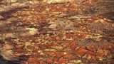 Australien: Land der Weite - Bild 2
