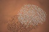 Australien: Land der Weite - Bild 4