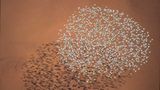 Australien: Land der Weite - Bild 4