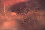 Australien: Land der Weite - Bild 6