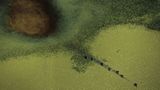 Australien: Land der Weite - Bild 9