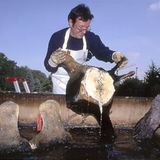 Wal-Skelett: Ein tierisches Puzzle - Bild 9