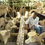 Wal-Skelett: Ein tierisches Puzzle - Bild 11