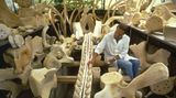 Wal-Skelett: Ein tierisches Puzzle - Bild 11
