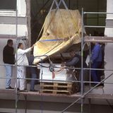 Wal-Skelett: Ein tierisches Puzzle - Bild 13