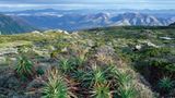 Fotogalerie: Tasmanien