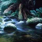 Fotogalerie: Tasmanien - Bild 2