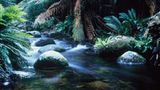 Fotogalerie: Tasmanien - Bild 2
