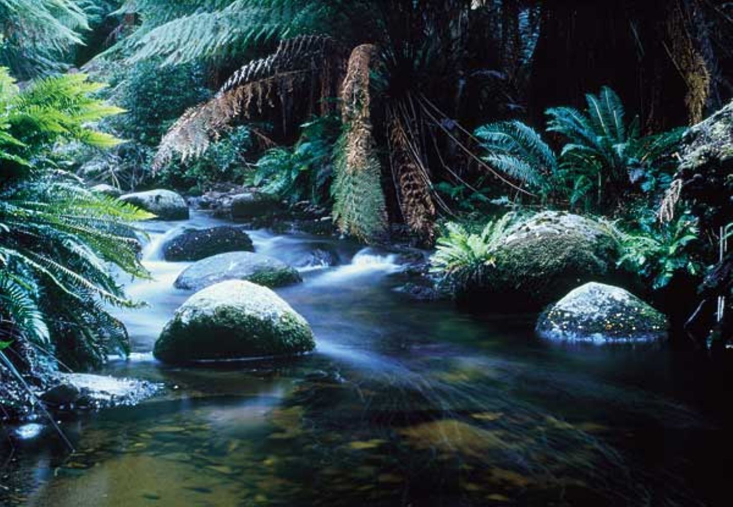 Fotogalerie: Tasmanien - Bild 2