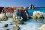 Fotogalerie: Tasmanien - Bild 3