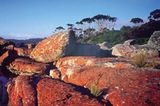 Fotogalerie: Tasmanien - Bild 4