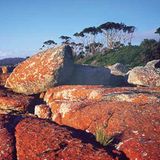 Fotogalerie: Tasmanien - Bild 4