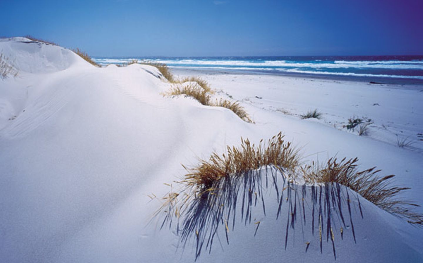 Fotogalerie: Tasmanien - Bild 6