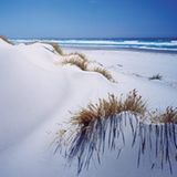 Fotogalerie: Tasmanien - Bild 6