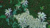 Fotogalerie: Tasmanien - Bild 7