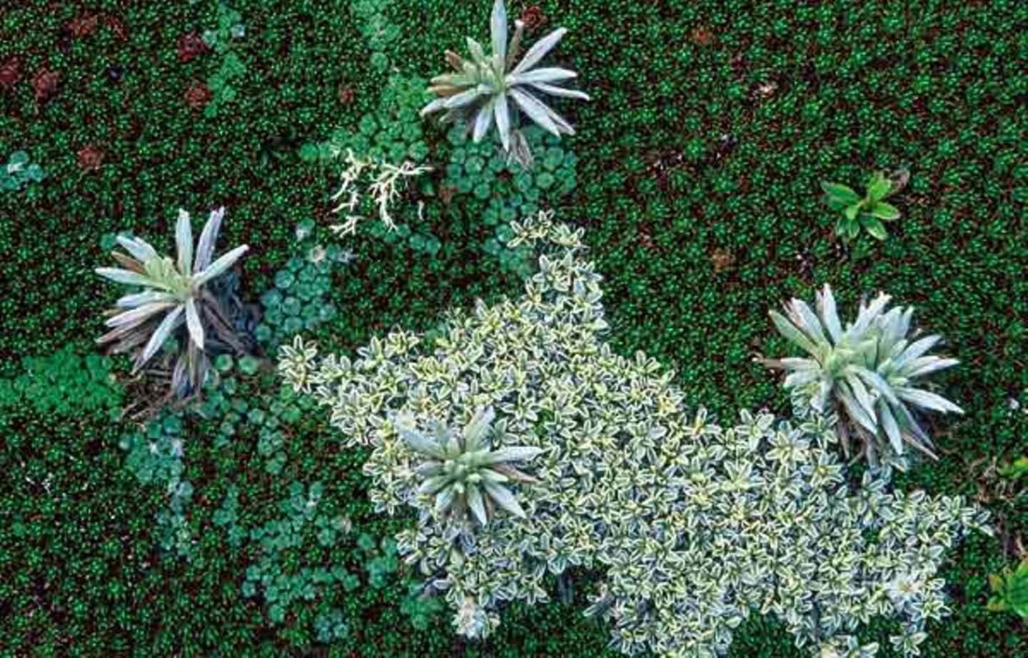 Fotogalerie: Tasmanien - Bild 7