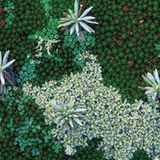 Fotogalerie: Tasmanien - Bild 7