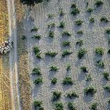 Fotogalerie: Kappadokien - Bild 10