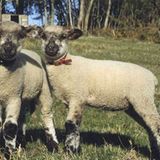 Fotogalerie: Von Bali nach New York