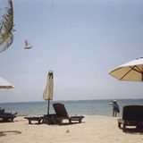 Fotogalerie: Von Bali nach New York - Bild 3