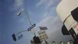 Fotogalerie: Von Bali nach New York - Bild 4
