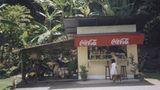 Fotogalerie: Von Bali nach New York - Bild 8