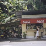 Fotogalerie: Von Bali nach New York - Bild 8