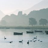 Fotogalerie: Wales - Bild 4