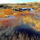 Fotogalerie: Wales - Bild 5