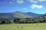 Fotogalerie: Wales - Bild 6