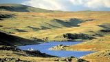 Fotogalerie: Wales - Bild 7
