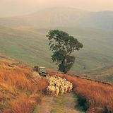 Fotogalerie: Wales - Bild 8