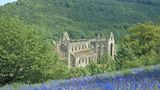 Fotogalerie: Wales - Bild 13