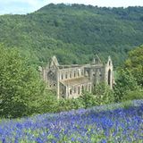 Fotogalerie: Wales - Bild 13