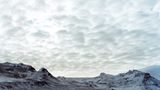 Fotoshow: Islandpferde - Bild 15
