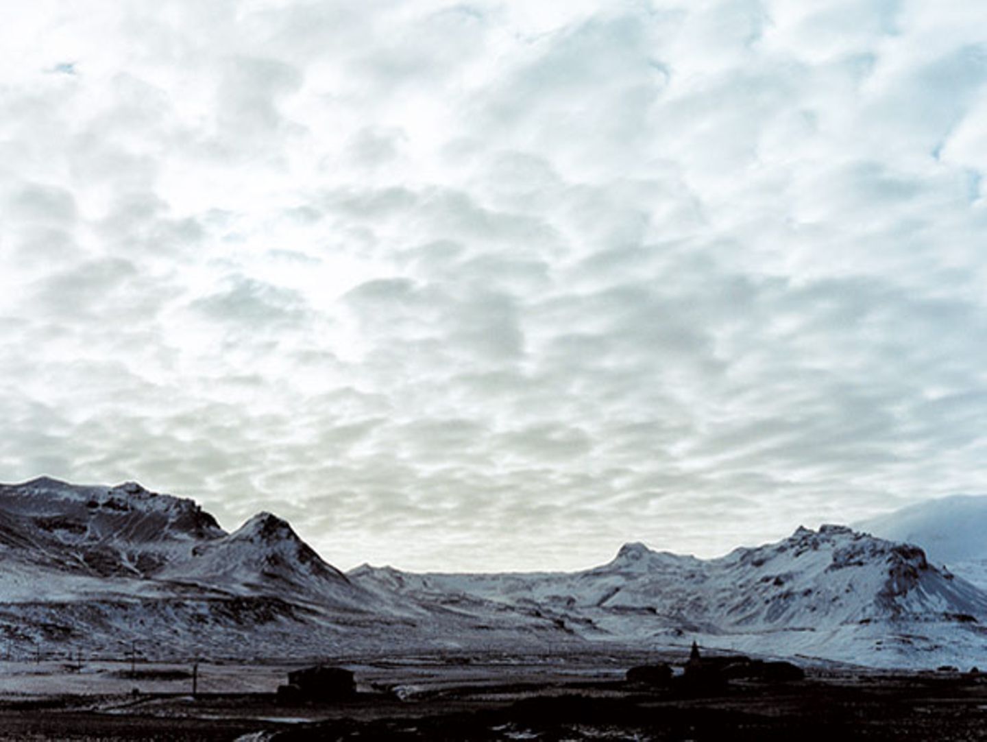 Fotoshow: Islandpferde - Bild 15