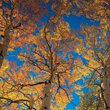 Fotogalerie: Der wilde Westen - Bild 3