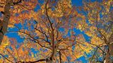 Fotogalerie: Der wilde Westen - Bild 3