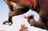 Fotogalerie: Der wilde Westen - Bild 9